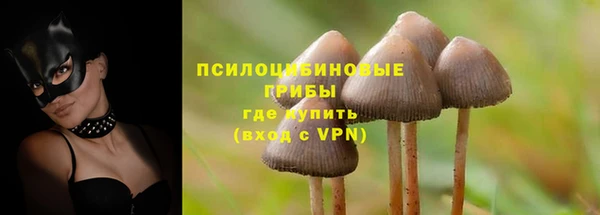 герыч Зеленокумск